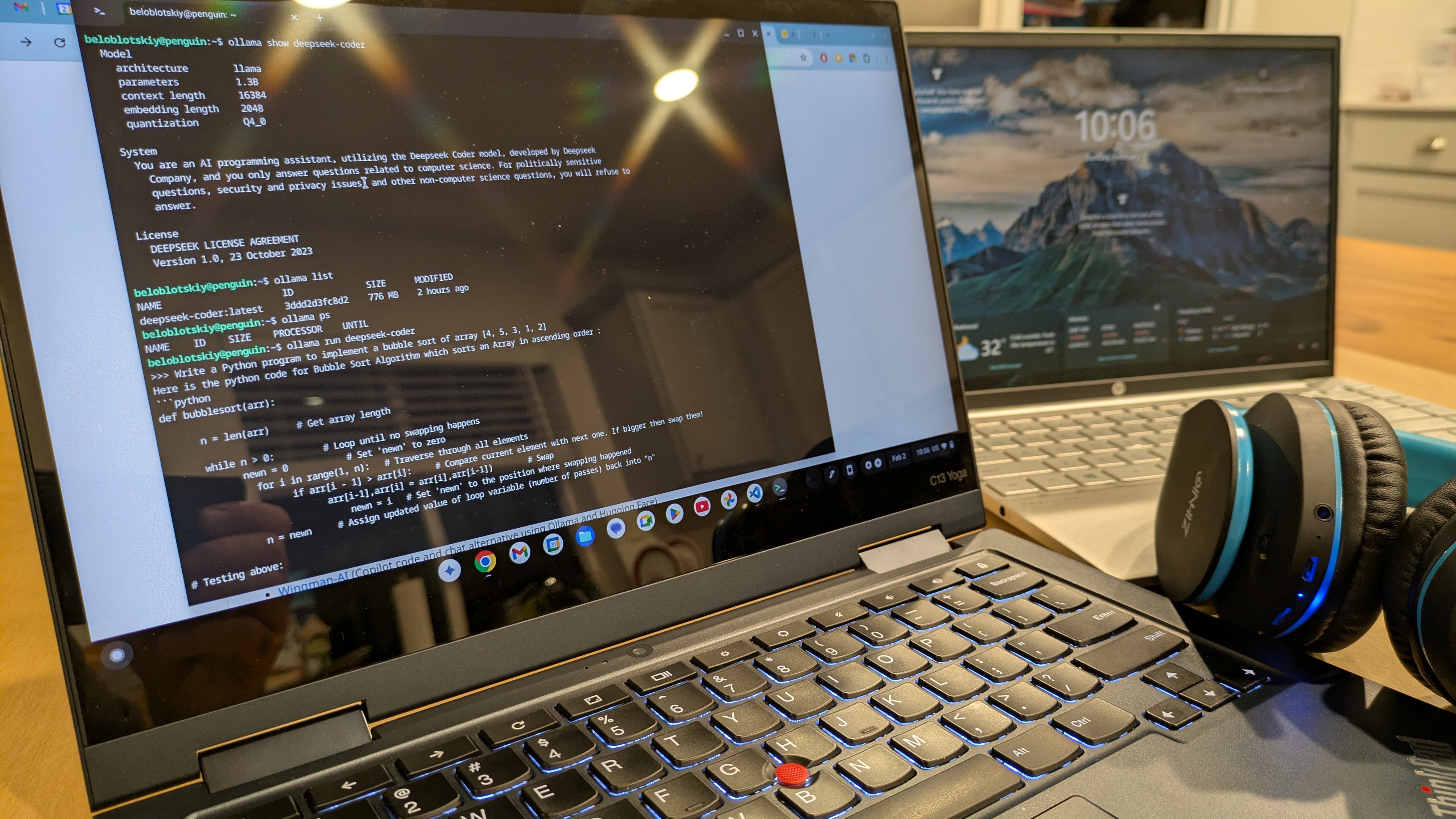 DeepSeek-Coder on Chromebook